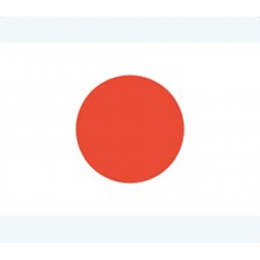 日本专利申请